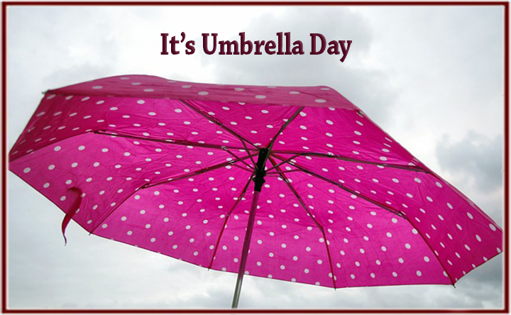Image result for umbrella day